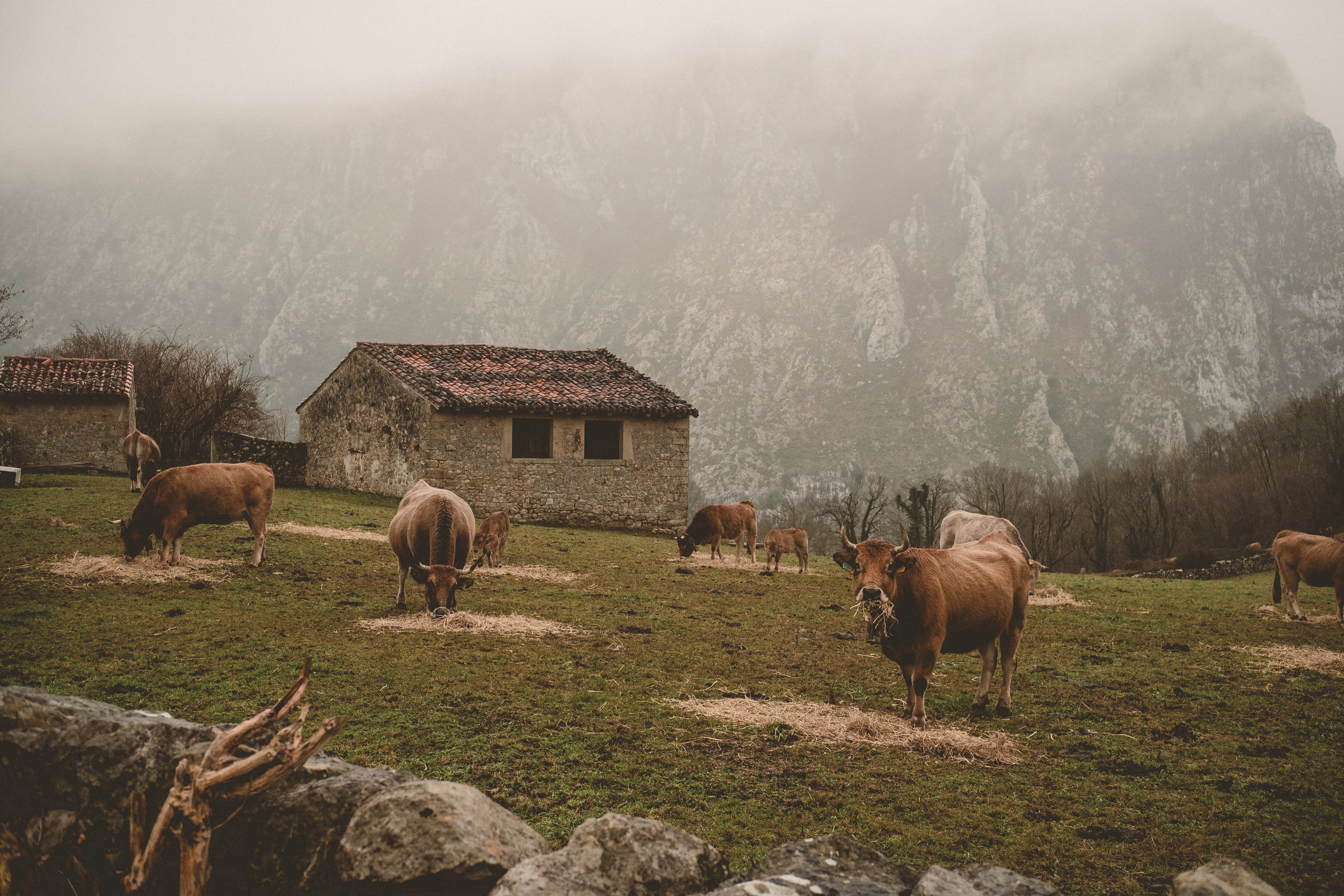 Diário de Viagem - Norte da Espanha