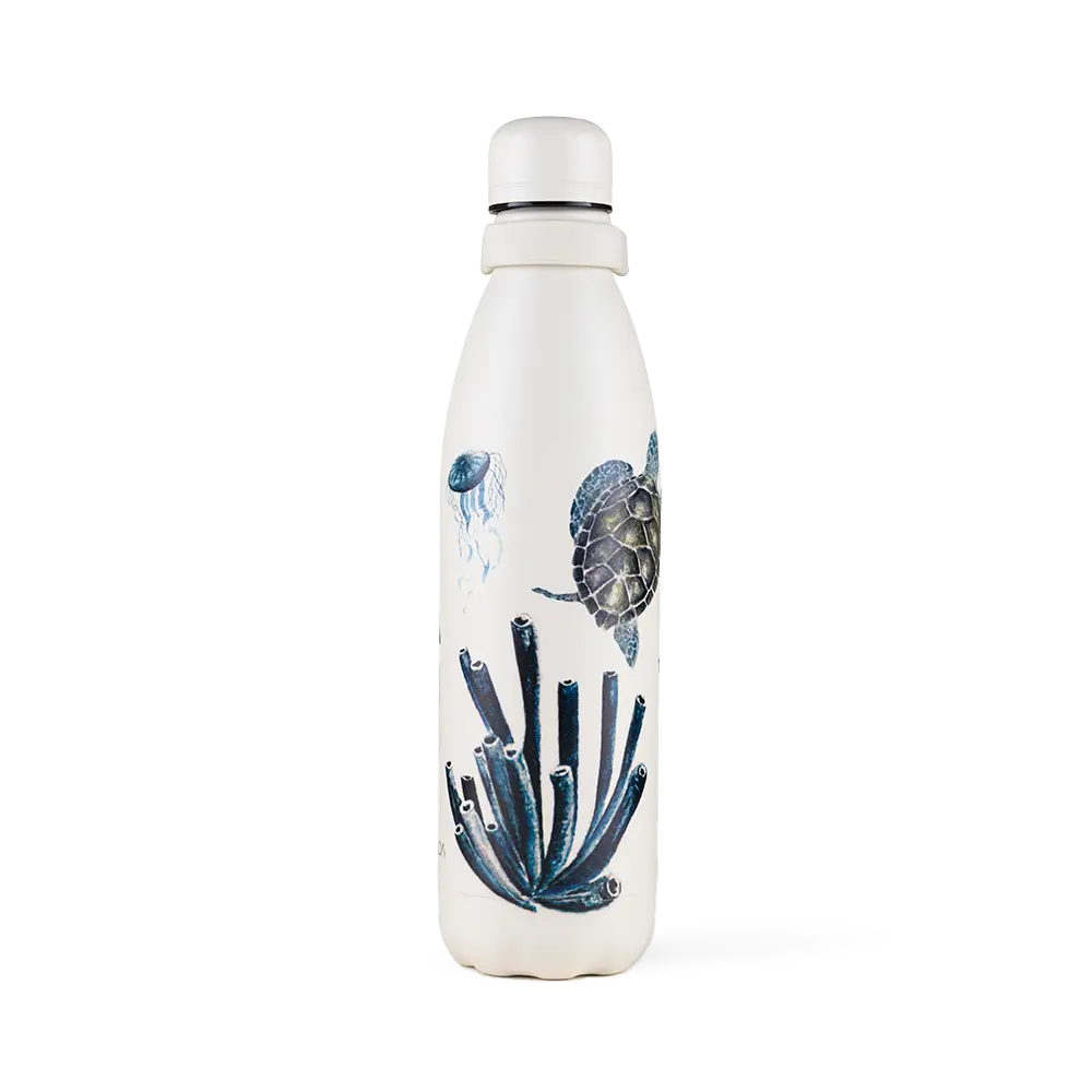 Garrafa Kouda Grey 750ml - Fauna e Flora Marinha - Clara Calmon - Branco