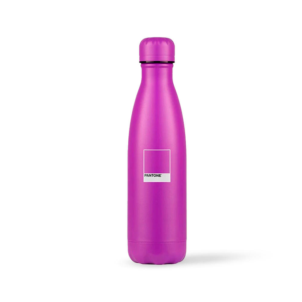 Garrafa-Pantone-Kouda-Termica-500ml-Chip-Grey_Purple